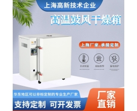 高温干燥箱（500℃）